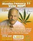 The Prince of Pot