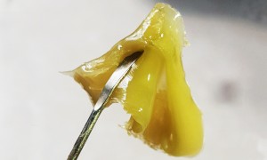 fresh frosin