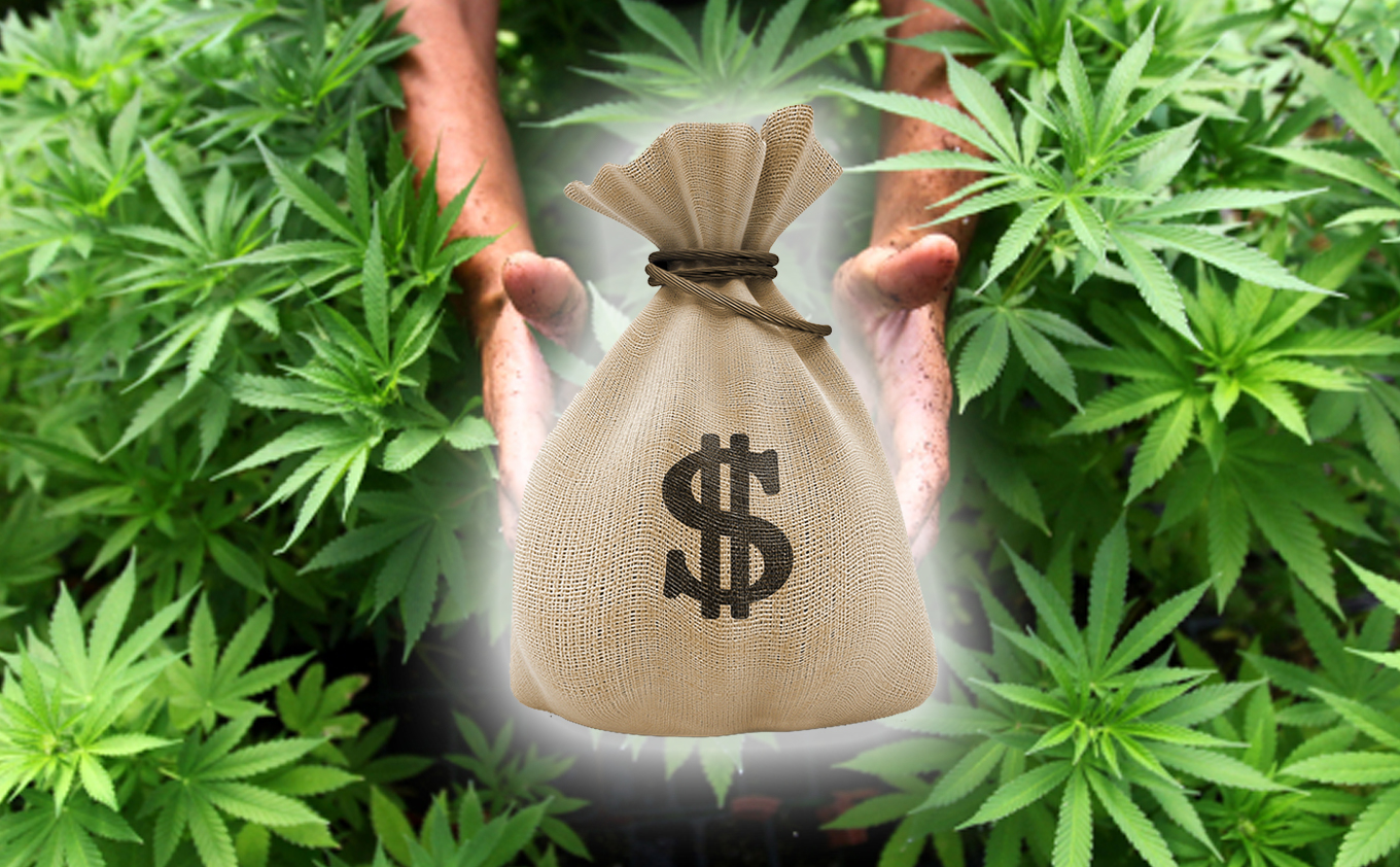 marijuana tax